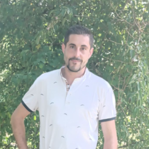 IAD Romain Lacassagne