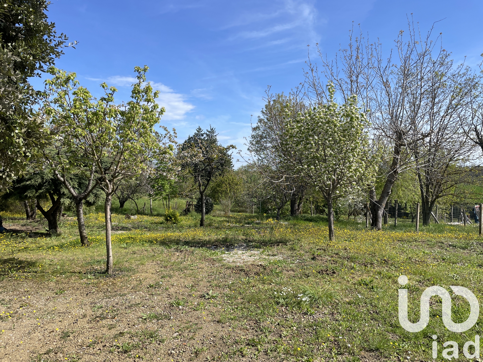 Vente Terrain 1 230 m²
