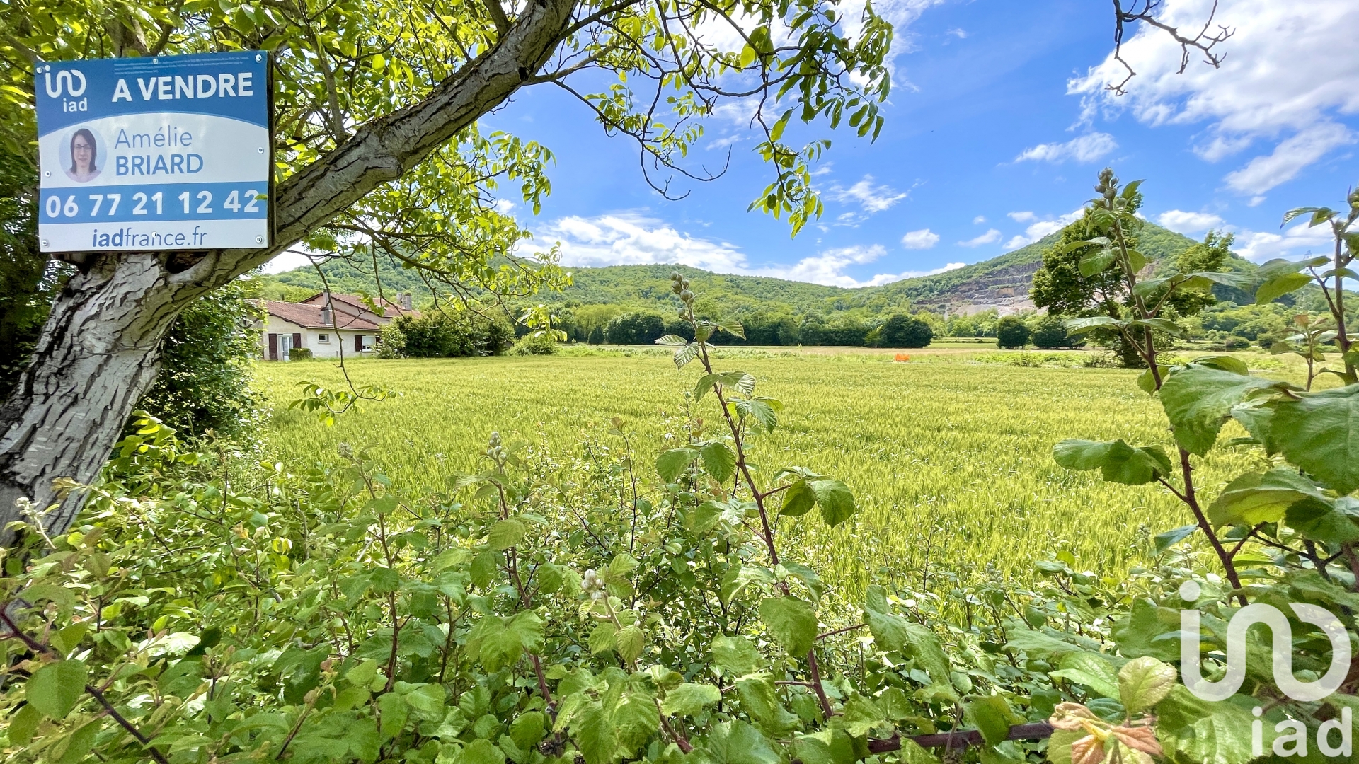 Vente Terrain à bâtir 4 300 m²
