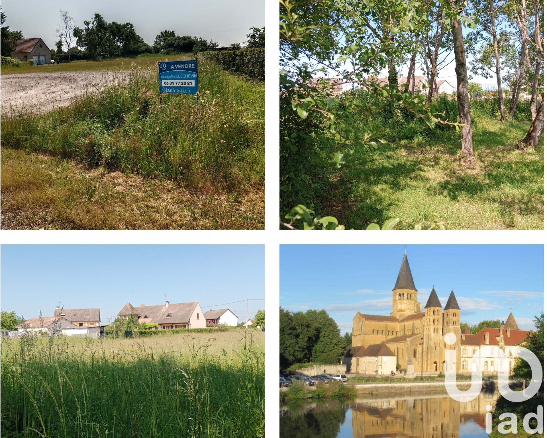 Vente Terrain à bâtir 3 625 m²