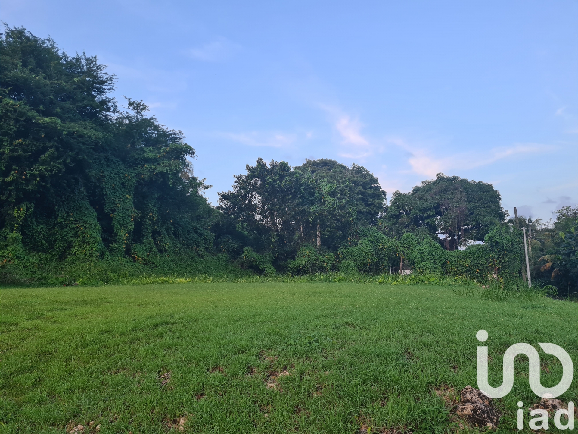 Vente Terrain à bâtir 963 m²