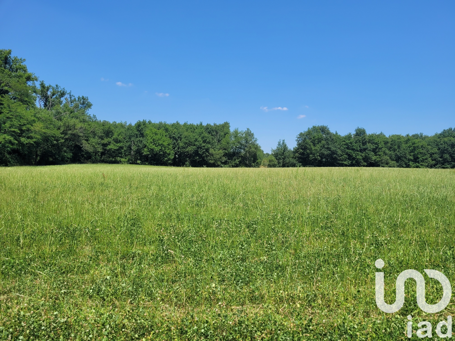 Vente Terrain à bâtir 11 708 m²