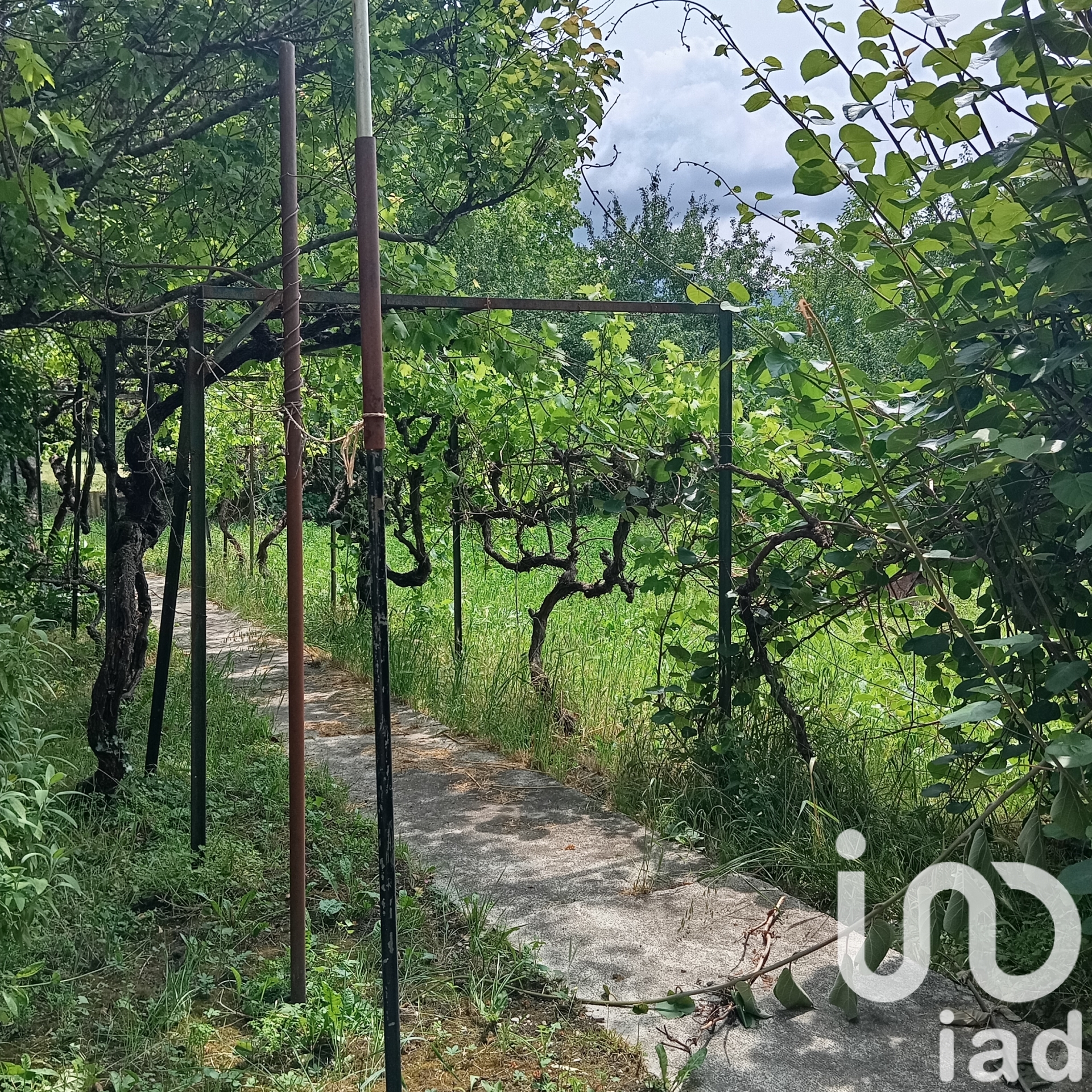 Vente maison à Buis-les-Baronnies (26170) : maison 9 pièces 231 m² - 1893195 — 10