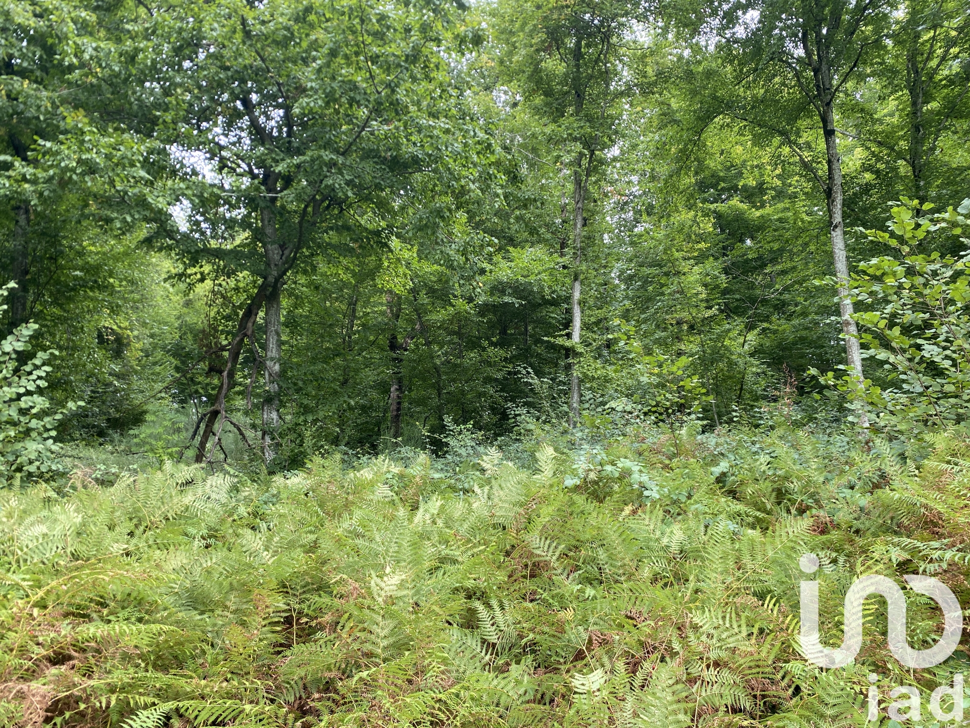 Vente Terrain agricole 10 388 m²