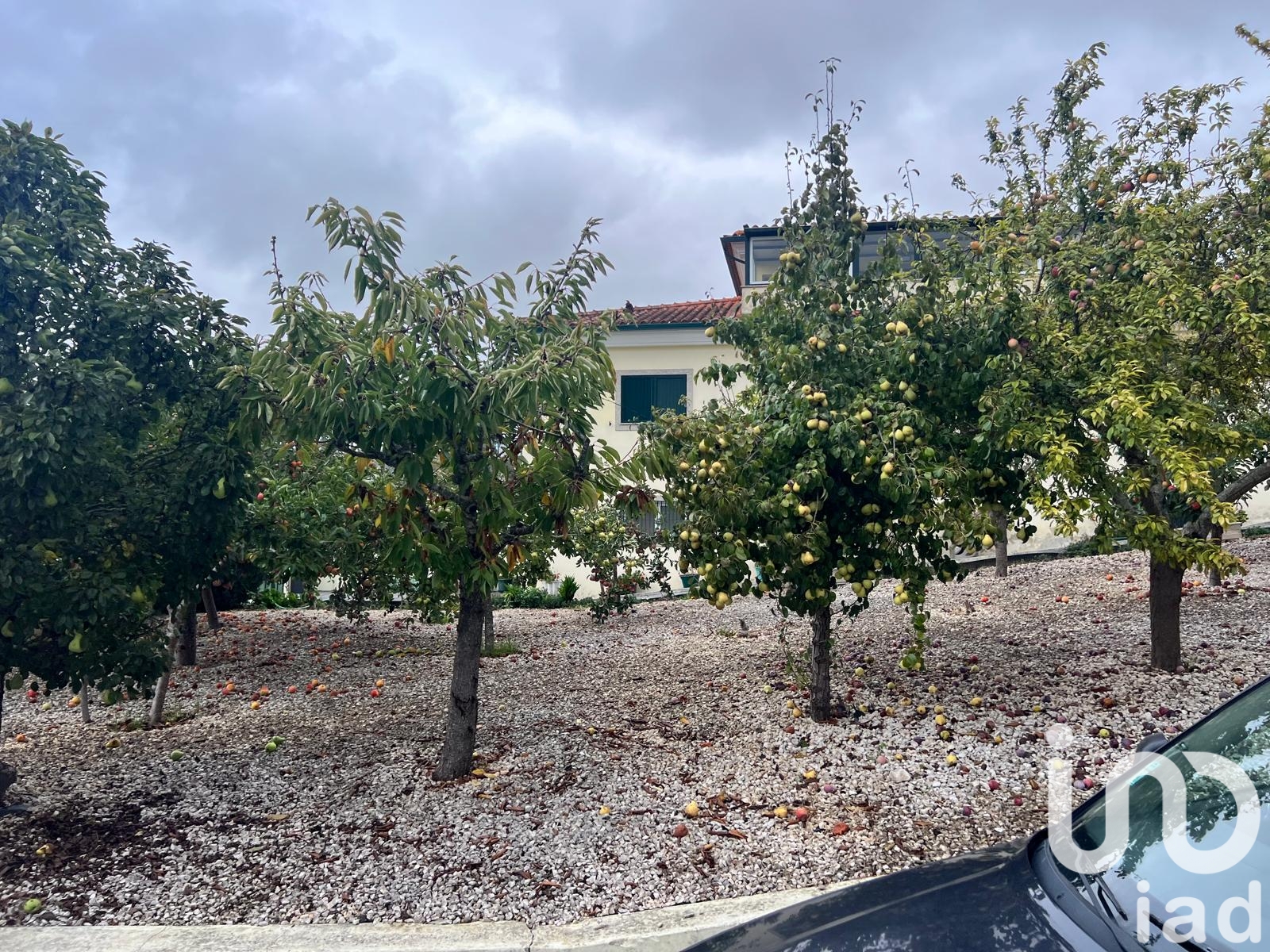 Moradia T4 à venda em Oiã, Oliveira do Bairro — foto 31