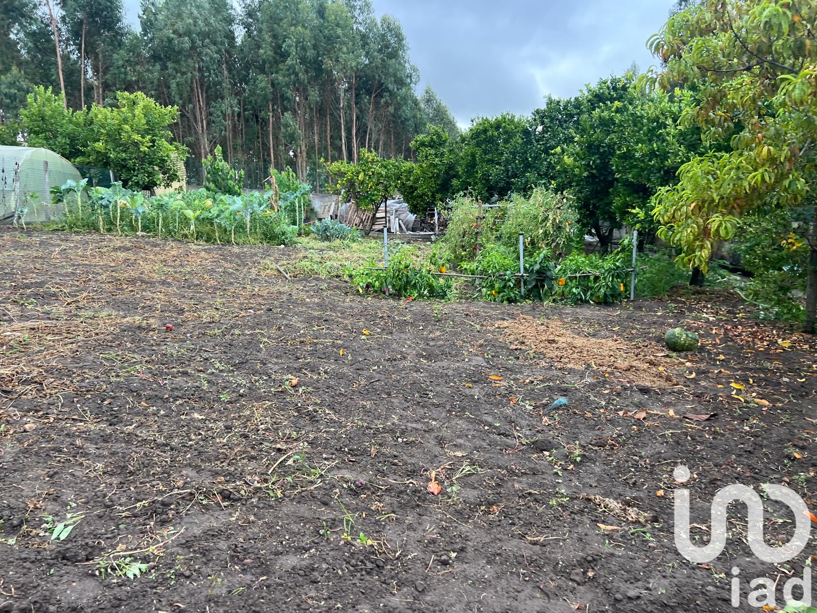 Moradia T4 à venda em Oiã, Oliveira do Bairro — foto 32
