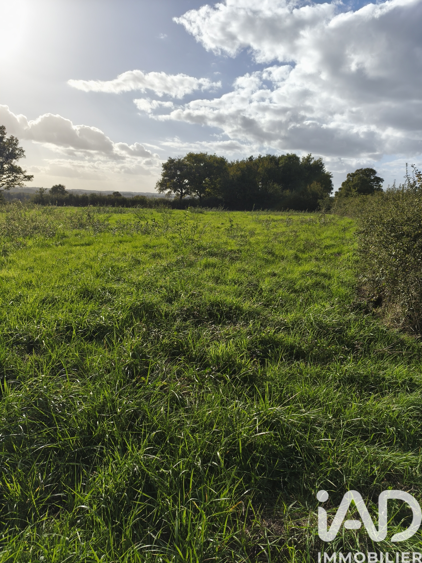 Vente Terrain à bâtir 4 300 m&sup2;