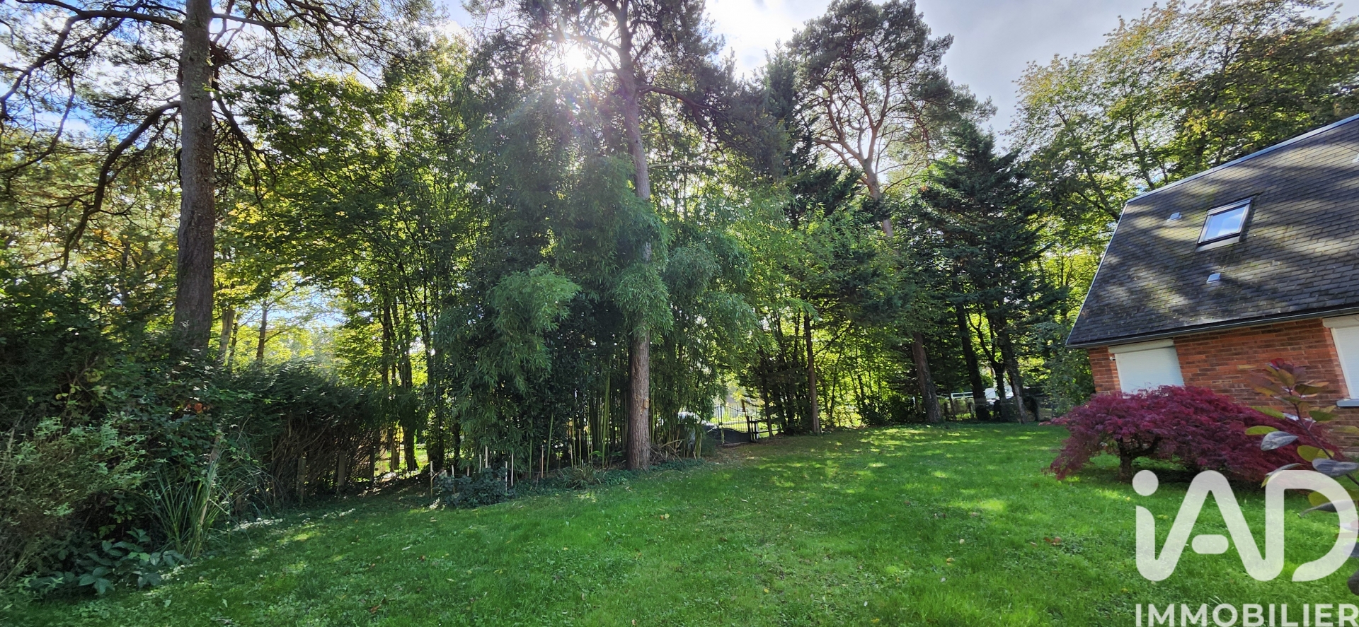 Vente maison à Ferrières — 4