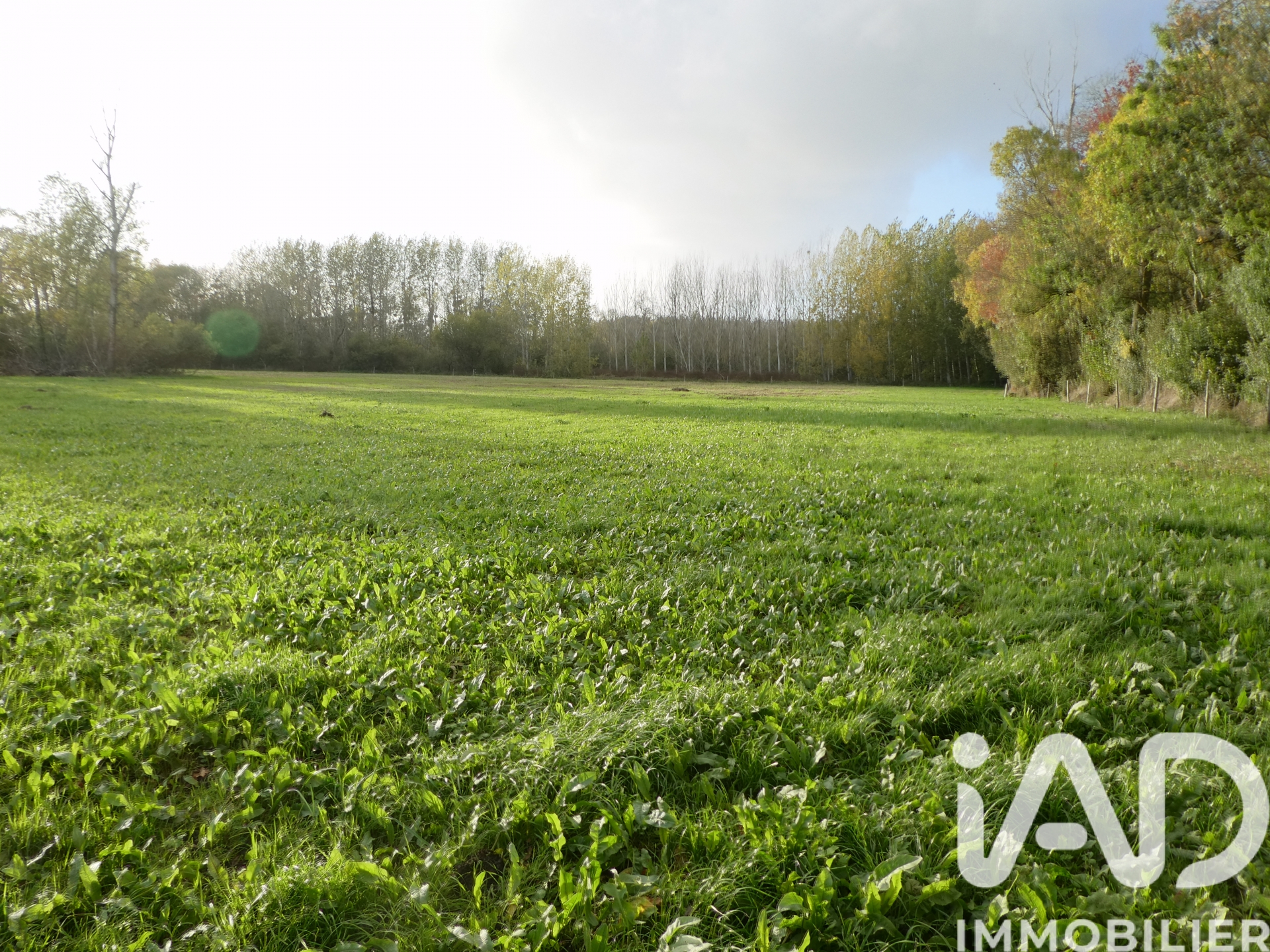 Vente Terrain agricole 19 641 m²