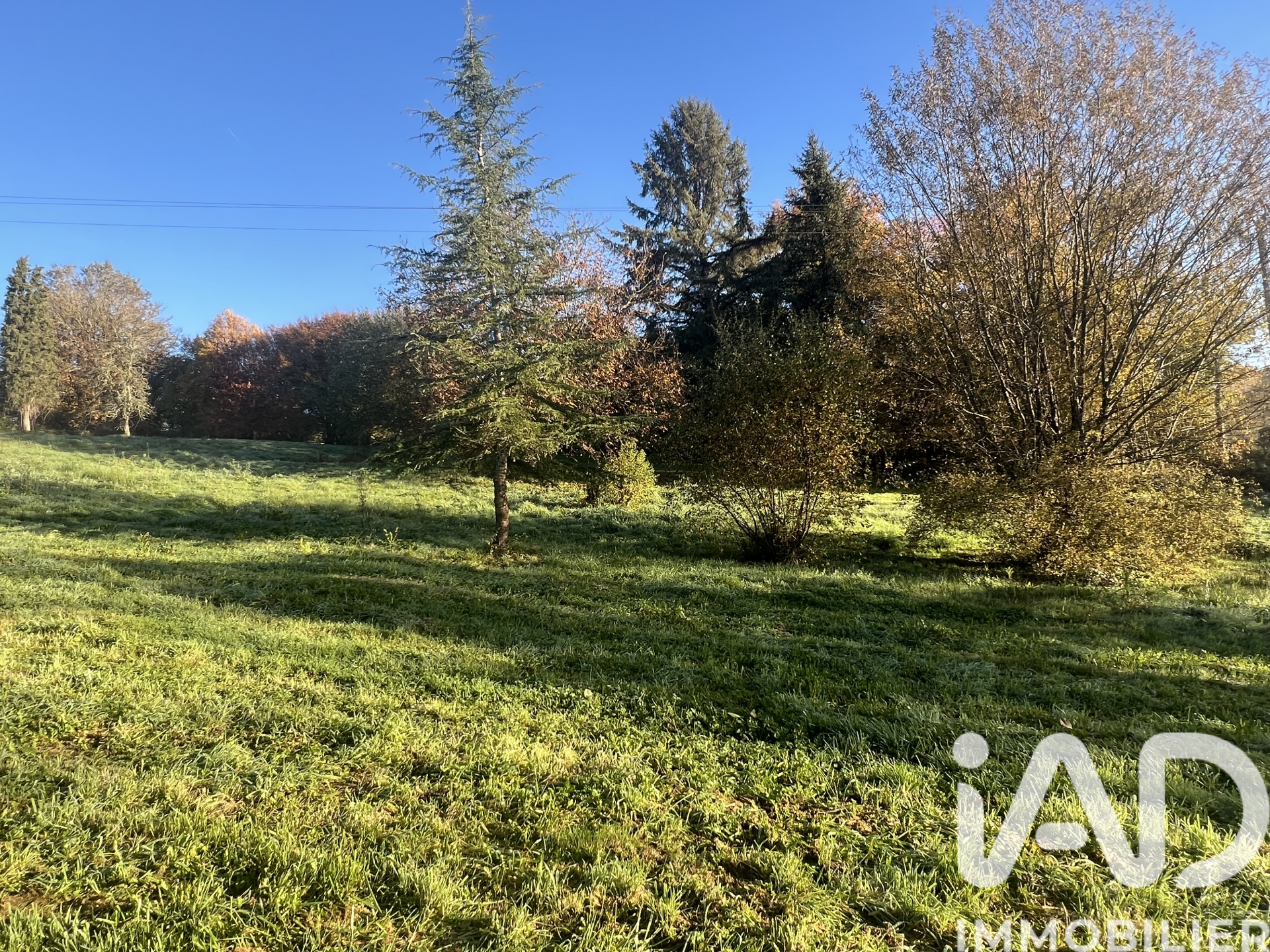 Vente Terrain 3 300 m²