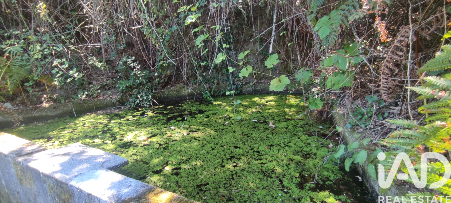 Moradia T0 à venda em Vila Maior, São Pedro do Sul — foto 6