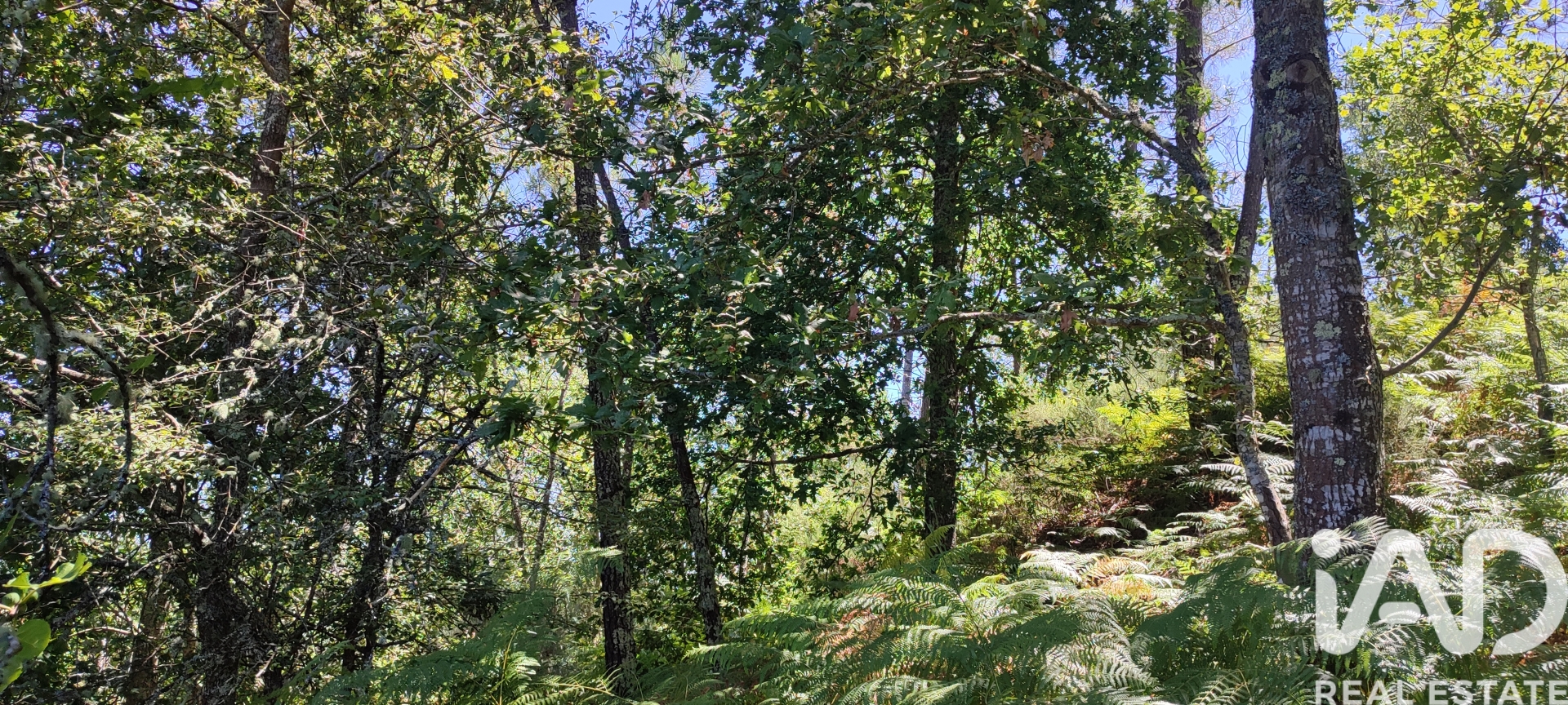Moradia T0 à venda em Vila Maior, São Pedro do Sul — foto 4