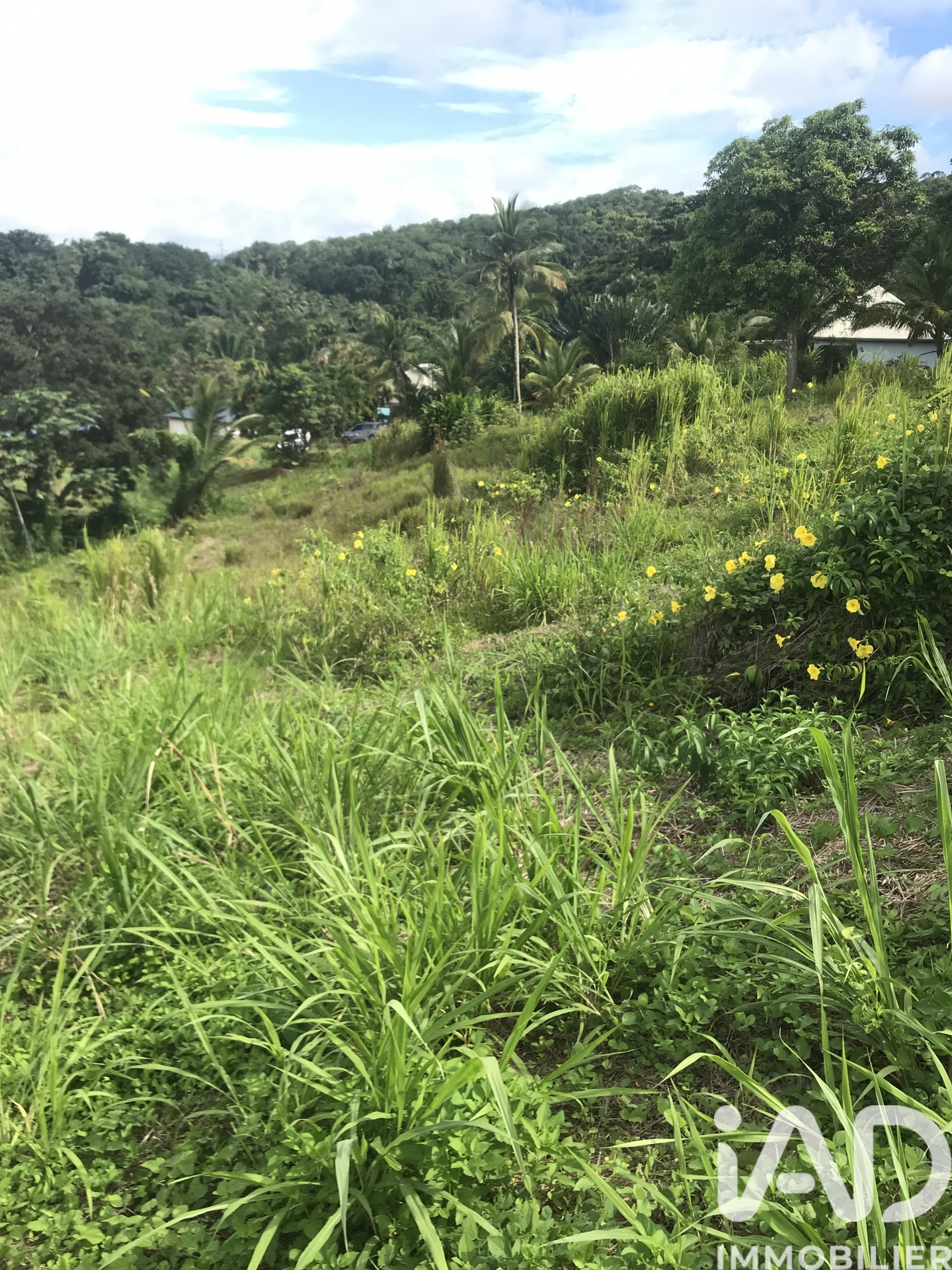 Vente Terrain 1 501 m²