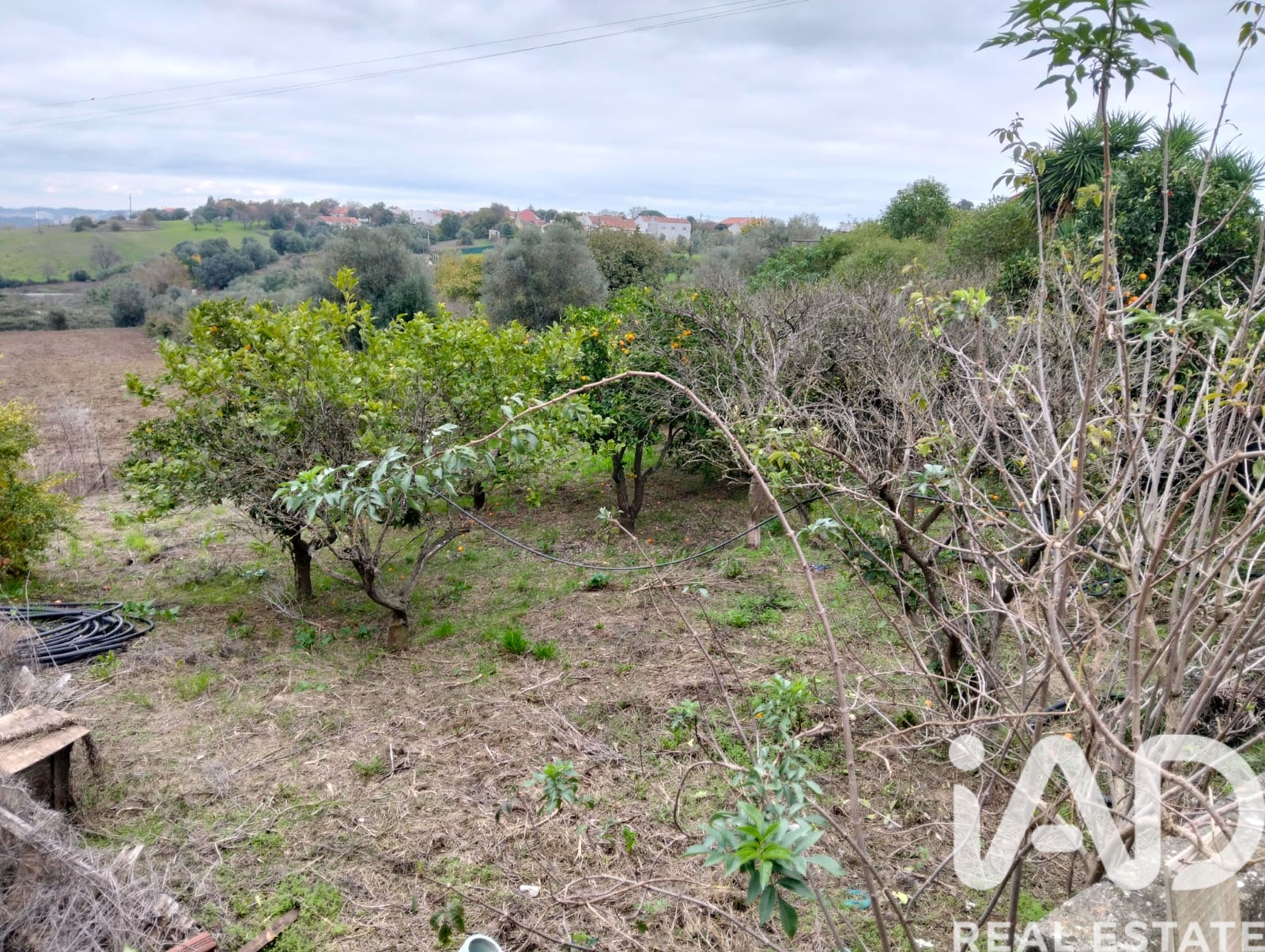 Moradia T6+ à venda em Póvoa da Isenta, Santarém — foto 24