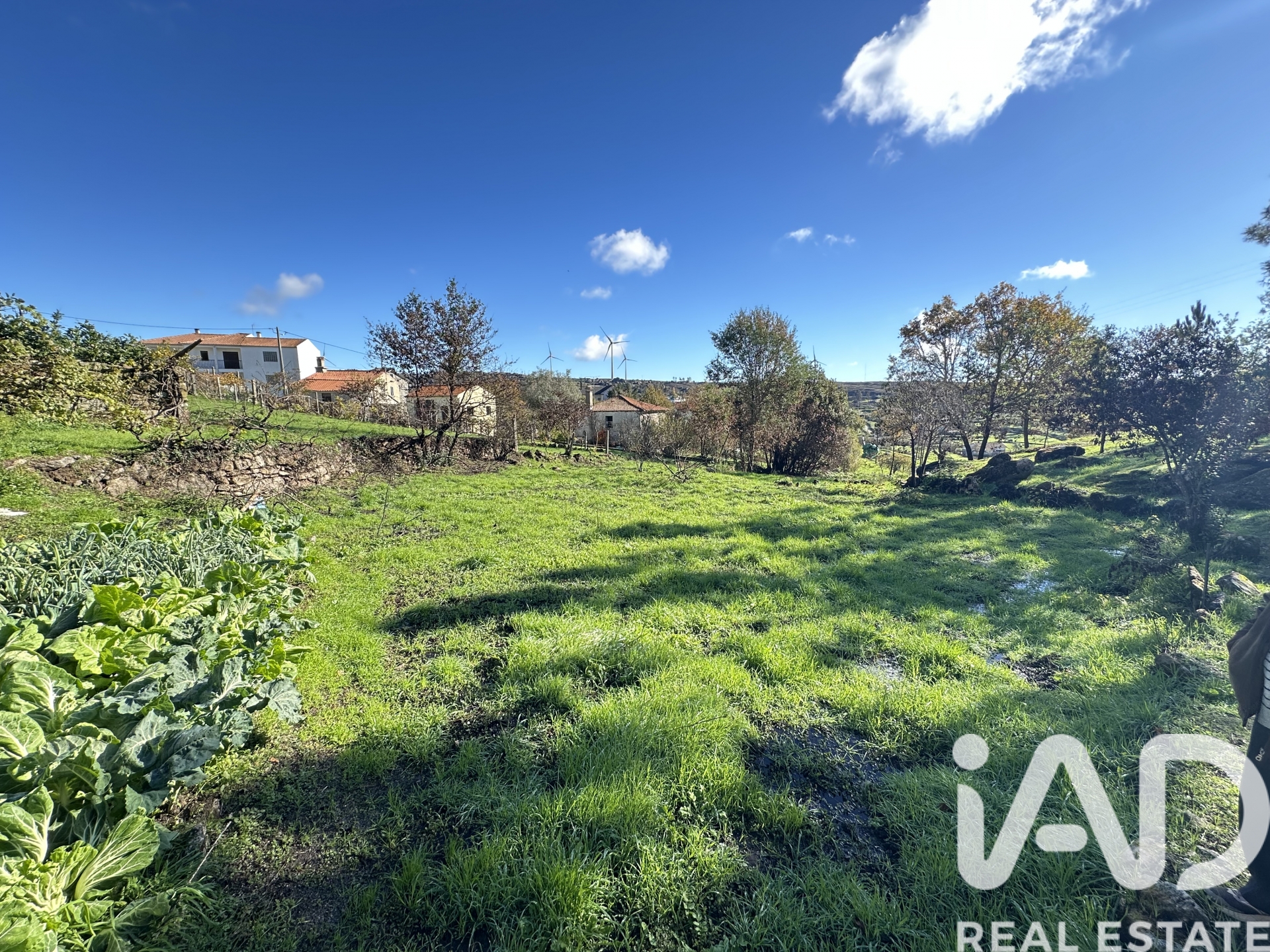 Moradia T2 à venda em Trancoso (São Pedro e Santa Maria) e Souto Maior, Trancoso — foto 16