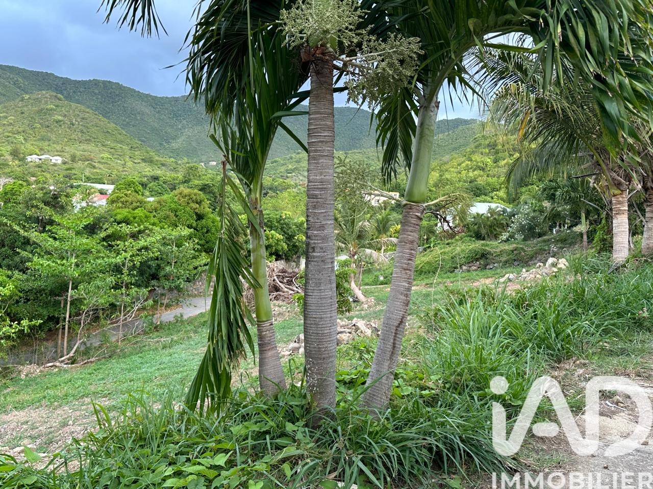 Vente Terrain à bâtir 2 000 m²