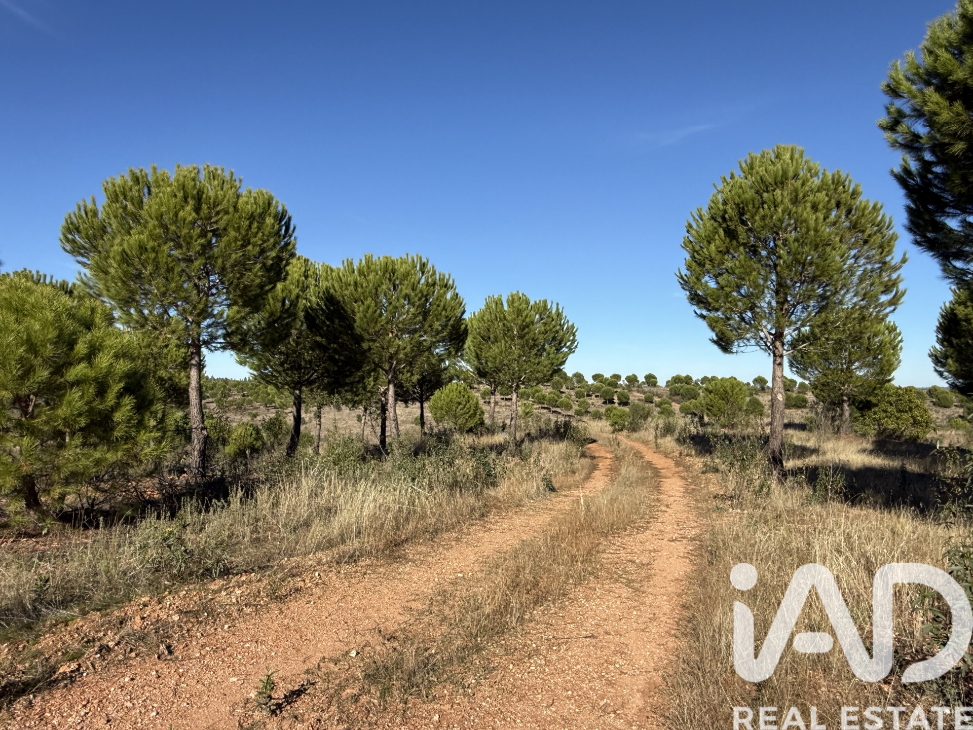 Moradia T1 à venda em Amieira, Portel — foto 20
