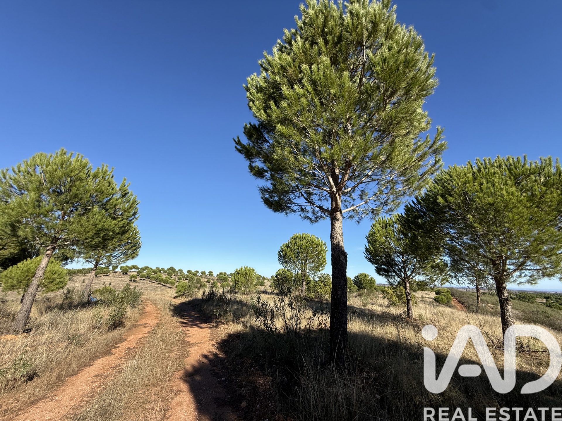 Moradia T1 à venda em Amieira, Portel — foto 2