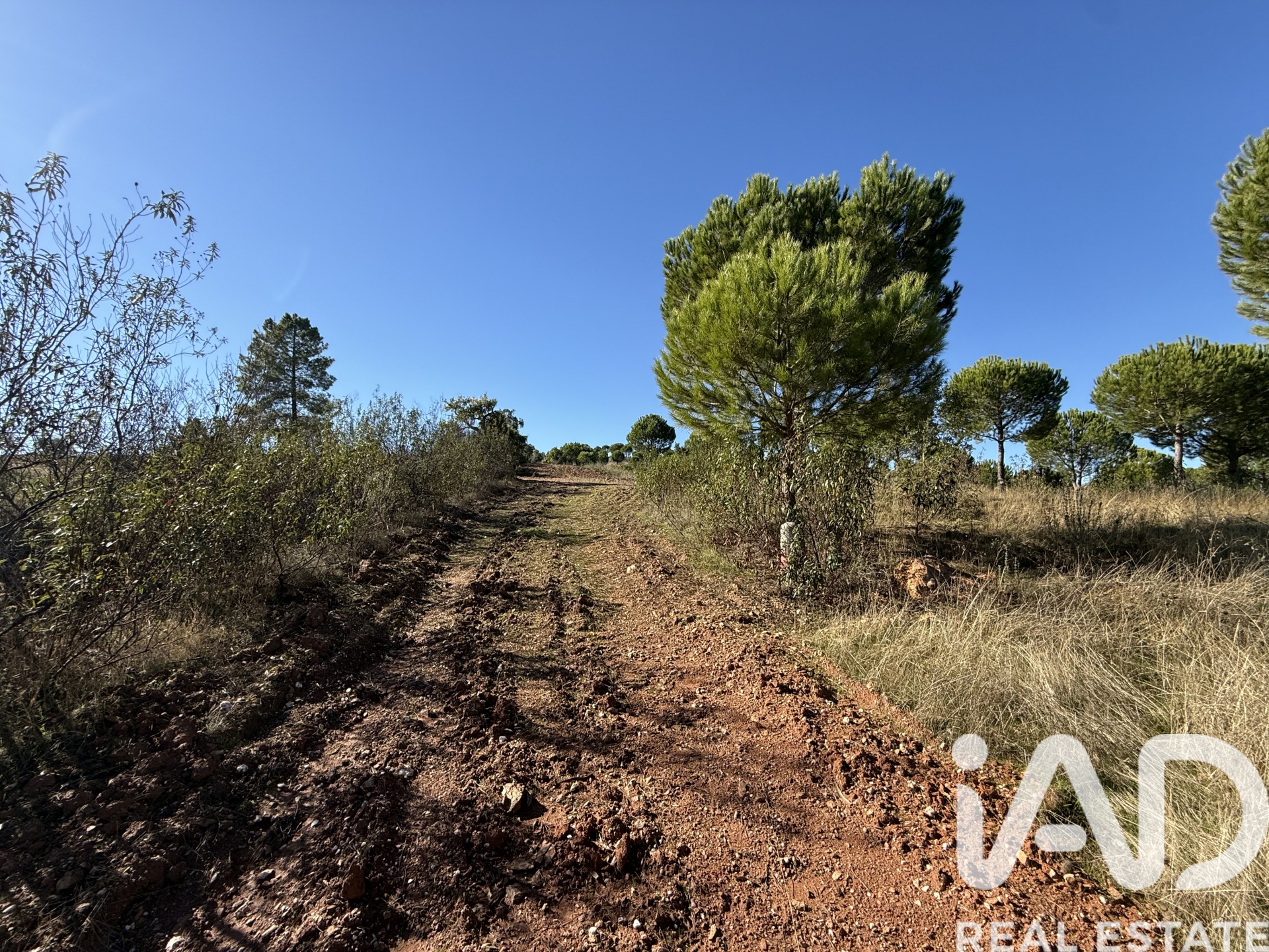 Moradia T1 à venda em Amieira, Portel — foto 3