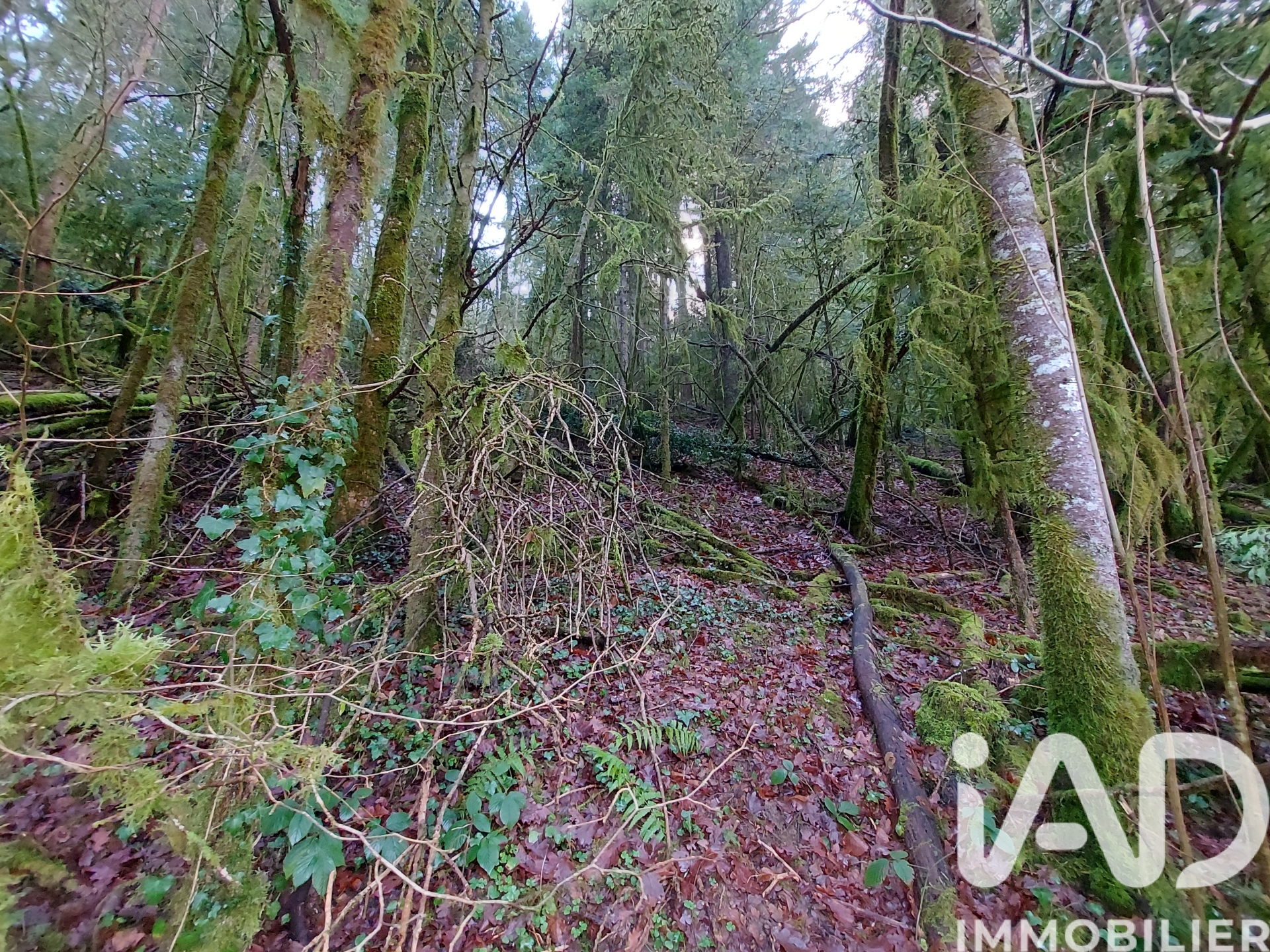 Vente Terrain 6 262 m²