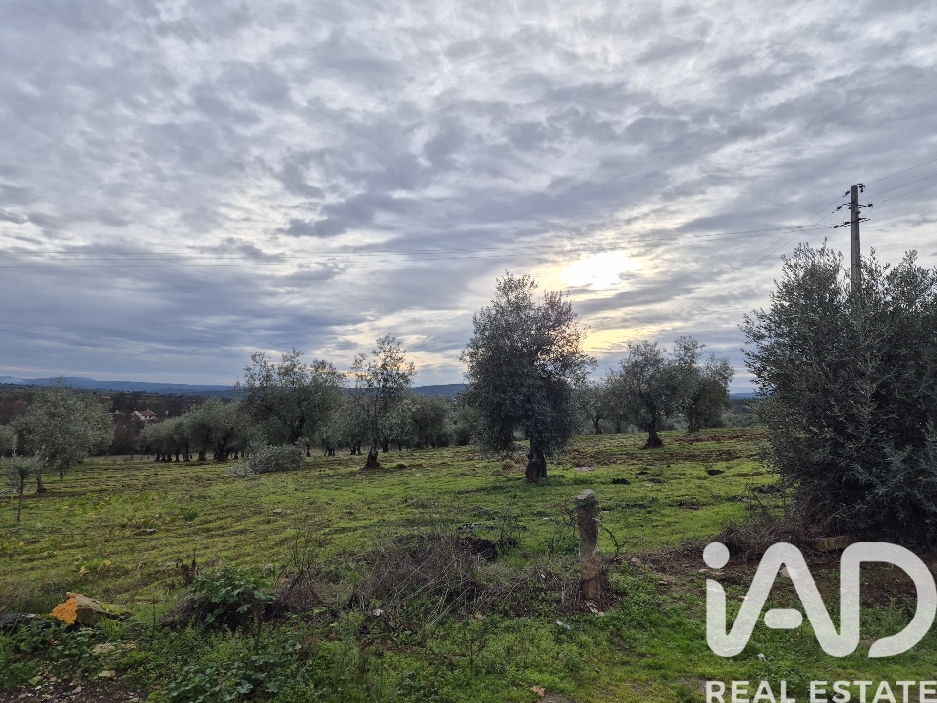 Moradia T6+ à venda em IZEDA, Bragança — foto 5
