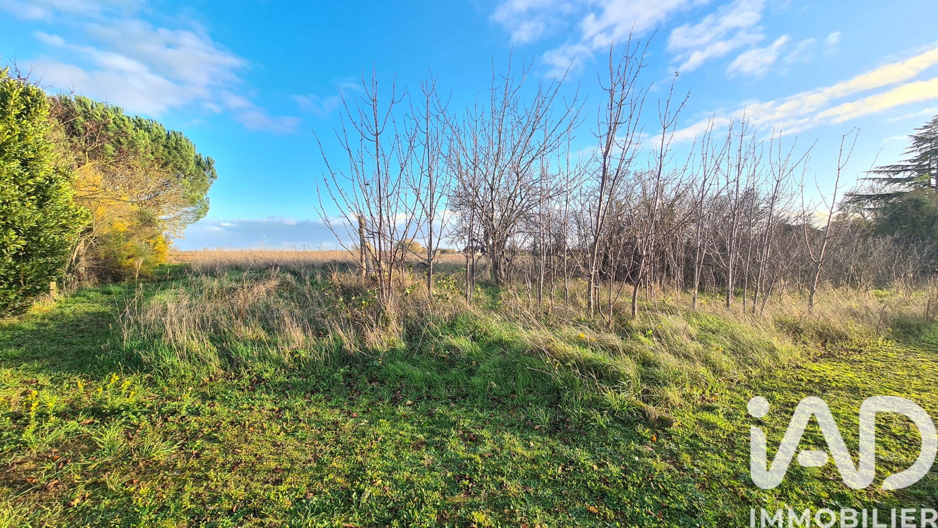 Vente Terrain à bâtir 2 390 m&sup2;