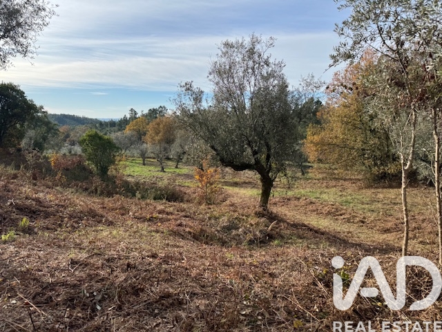 Moradia T2 à venda em Pedrógão Pequeno, Sertã — foto 32