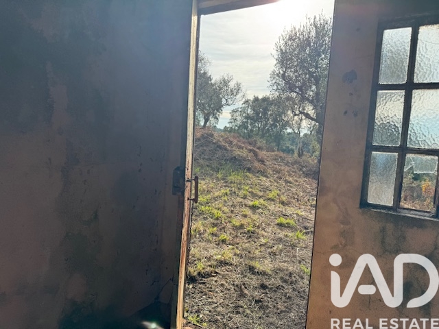 Moradia T2 à venda em Pedrógão Pequeno, Sertã — foto 6