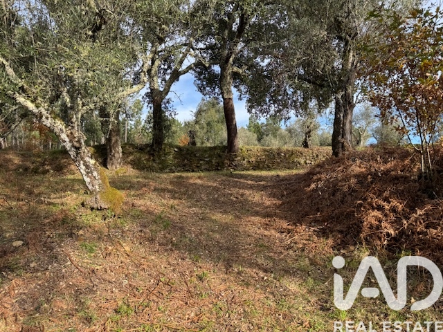 Moradia T2 à venda em Pedrógão Pequeno, Sertã — foto 33