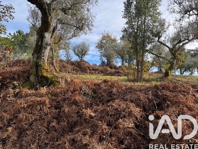 Moradia T2 à venda em Pedrógão Pequeno, Sertã — foto 35