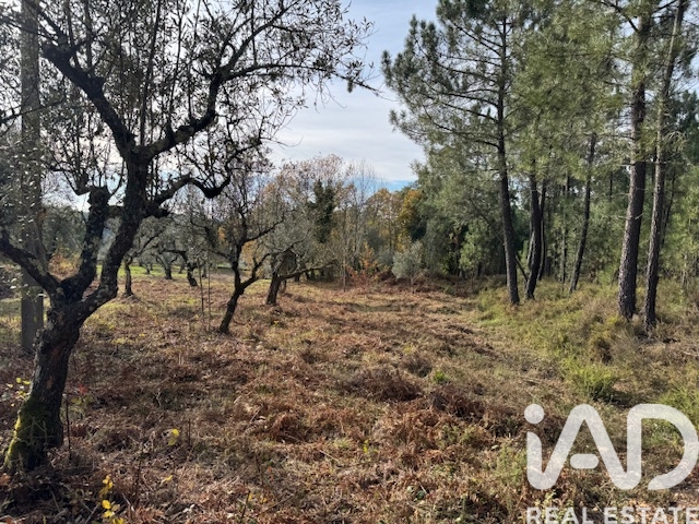 Moradia T2 à venda em Pedrógão Pequeno, Sertã — foto 34