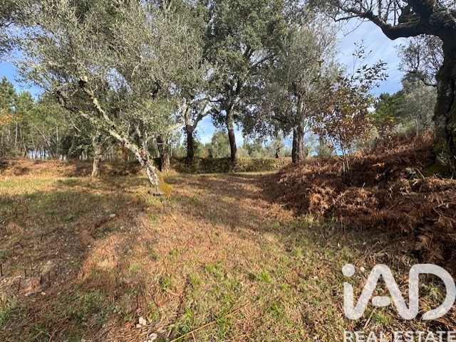 Moradia T2 à venda em Pedrógão Pequeno, Sertã — foto 37