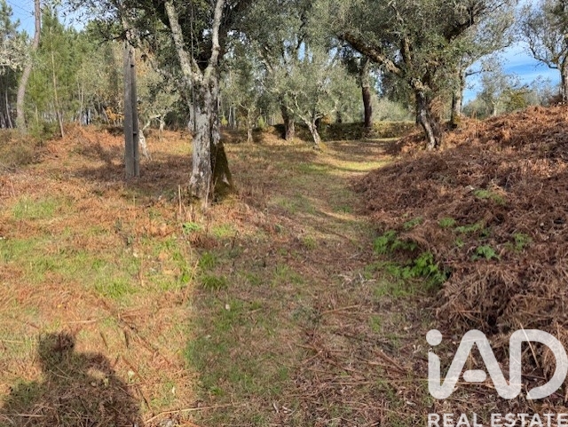 Moradia T2 à venda em Pedrógão Pequeno, Sertã — foto 36