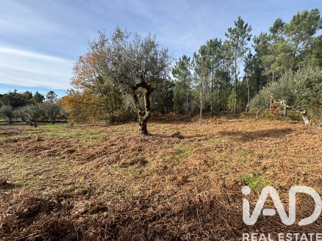 Moradia T2 à venda em Pedrógão Pequeno, Sertã — foto 26