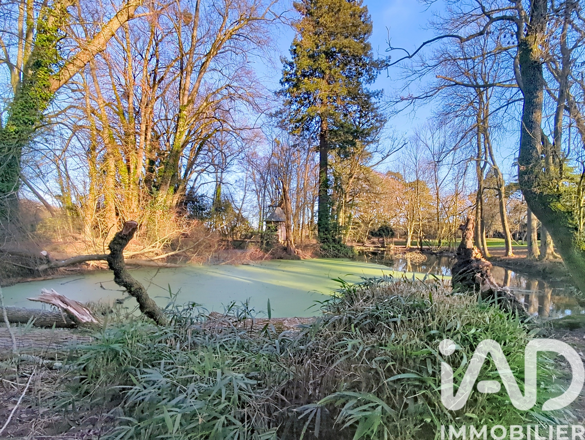 Vente maison à Bois-Guillaume (76230) : maison 5 pièces 140 m² - 2103372 — 7