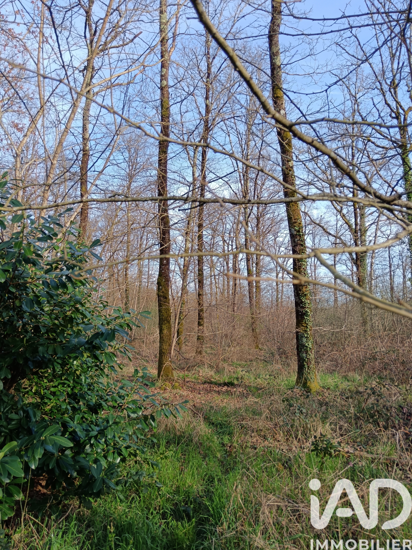 Vente Terrain 24 045 m&sup2;