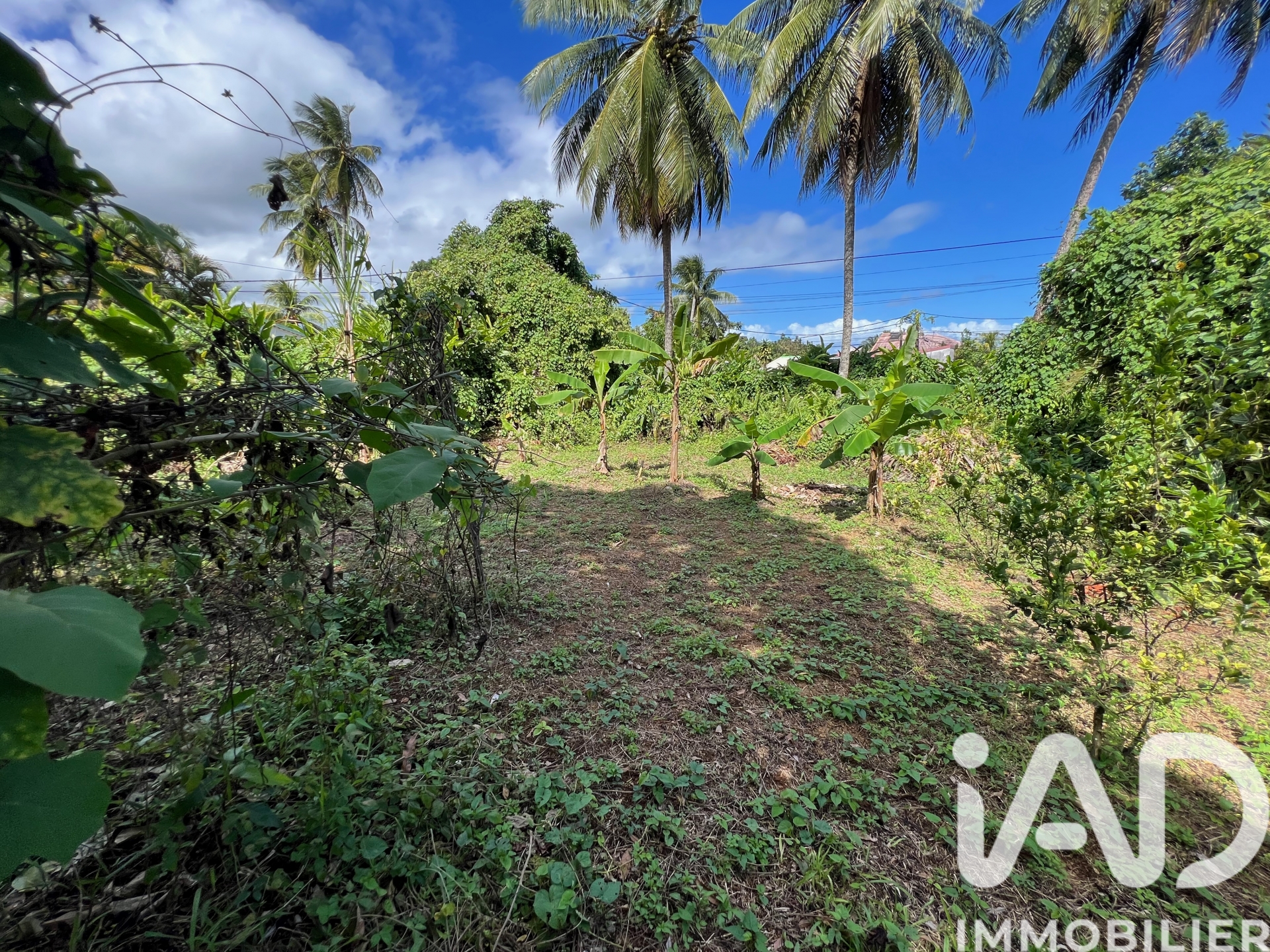 Vente Terrain 854 m²
