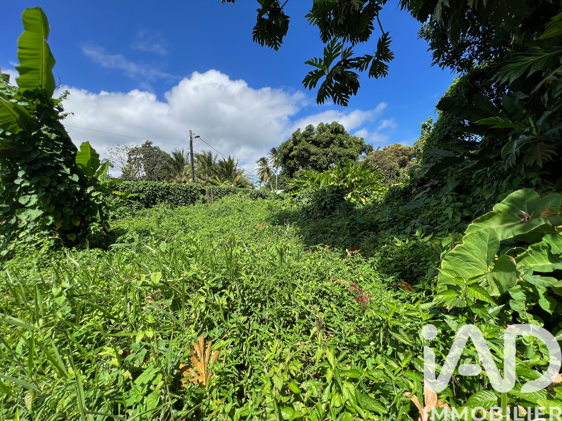 Vente Terrain 1 015 m²