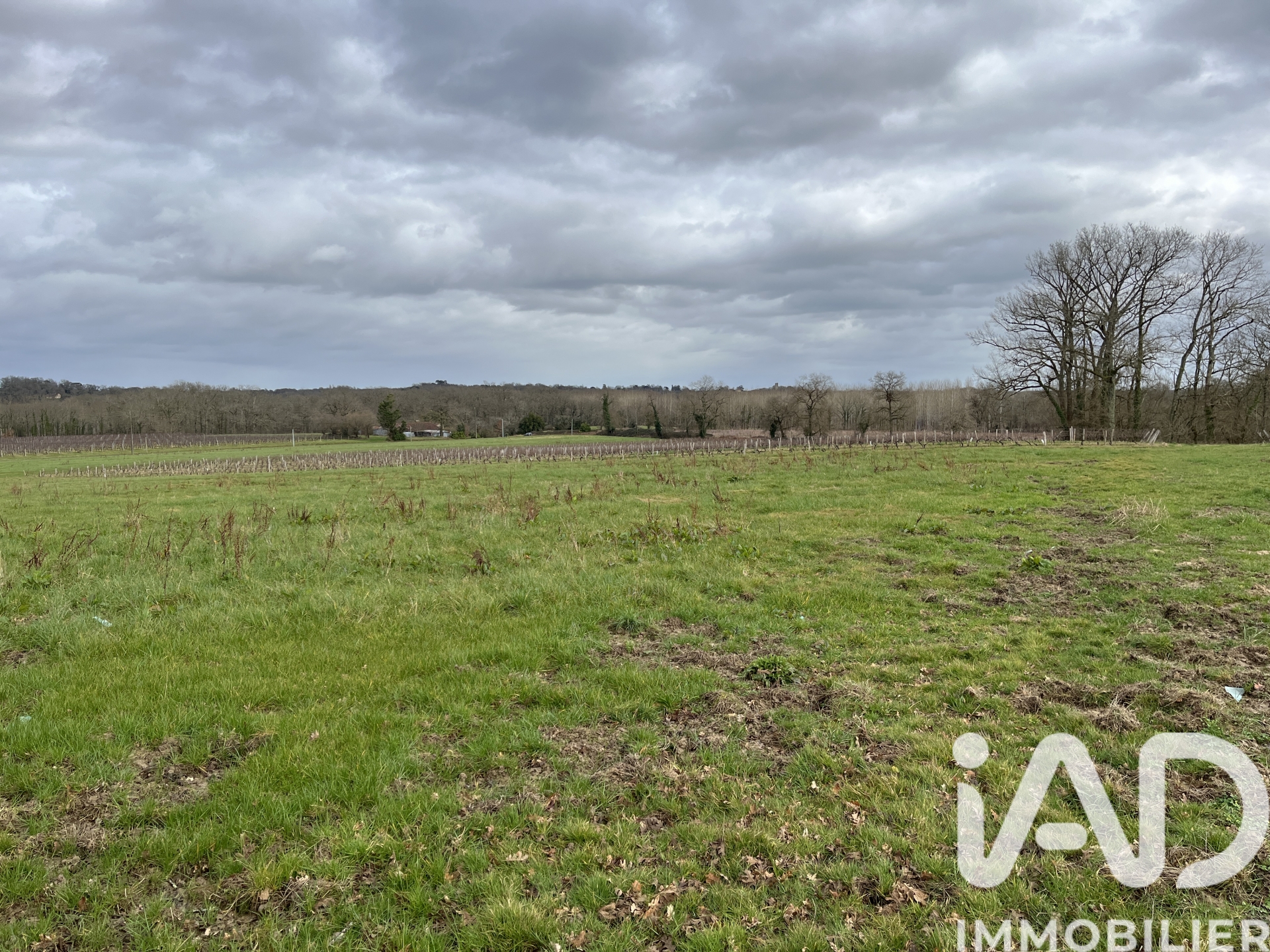 Vente Terrain agricole 132 080 m²