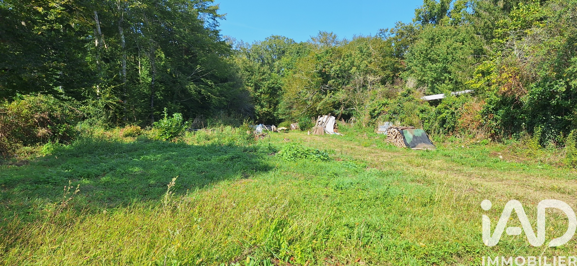 Vente Terrain 1 667 m&sup2;