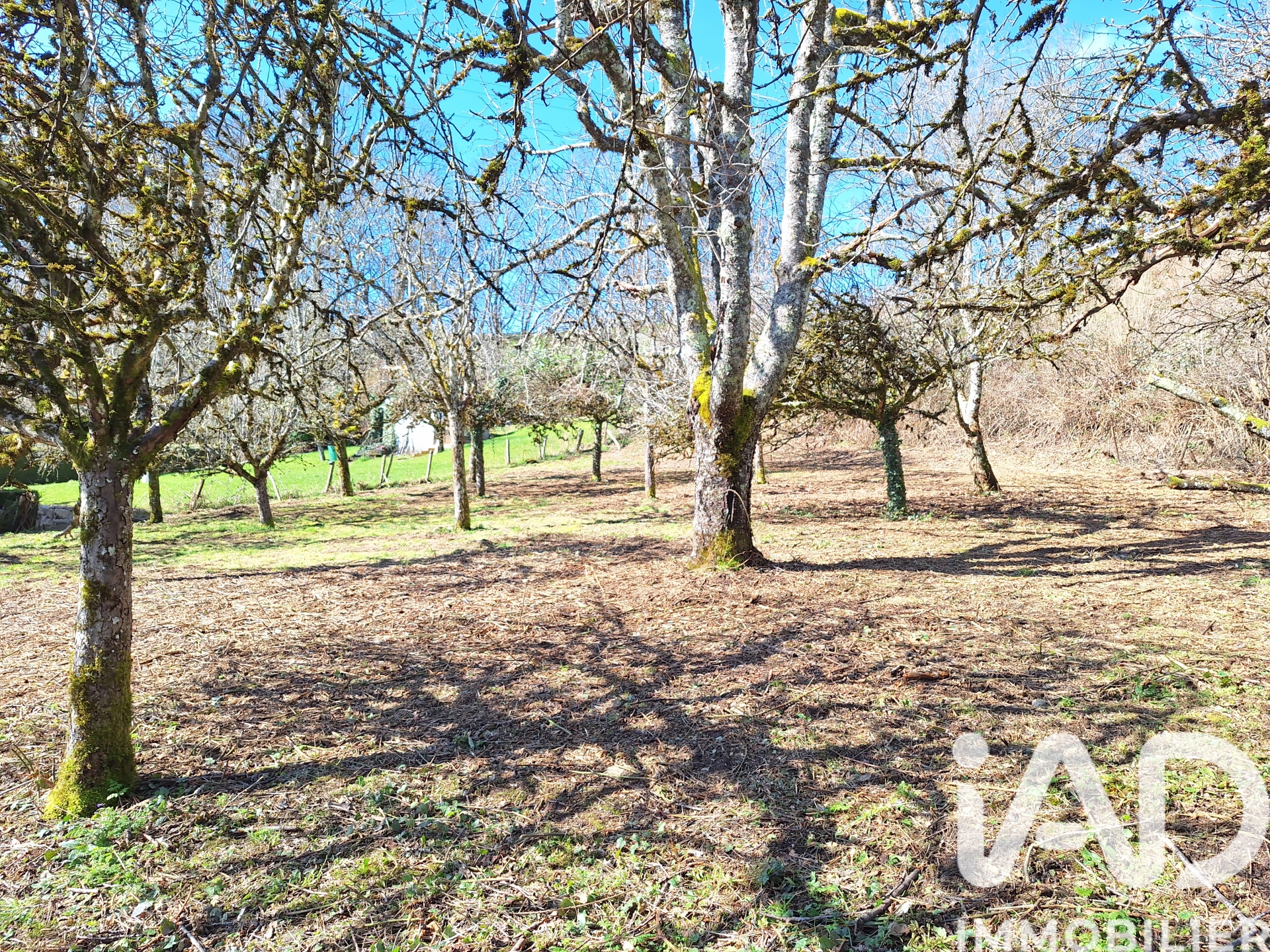 Vente Terrain à bâtir 1 164 m²