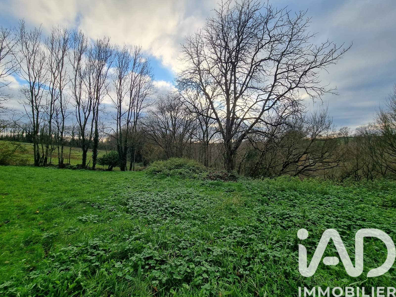 Vente maison à Saint — 14