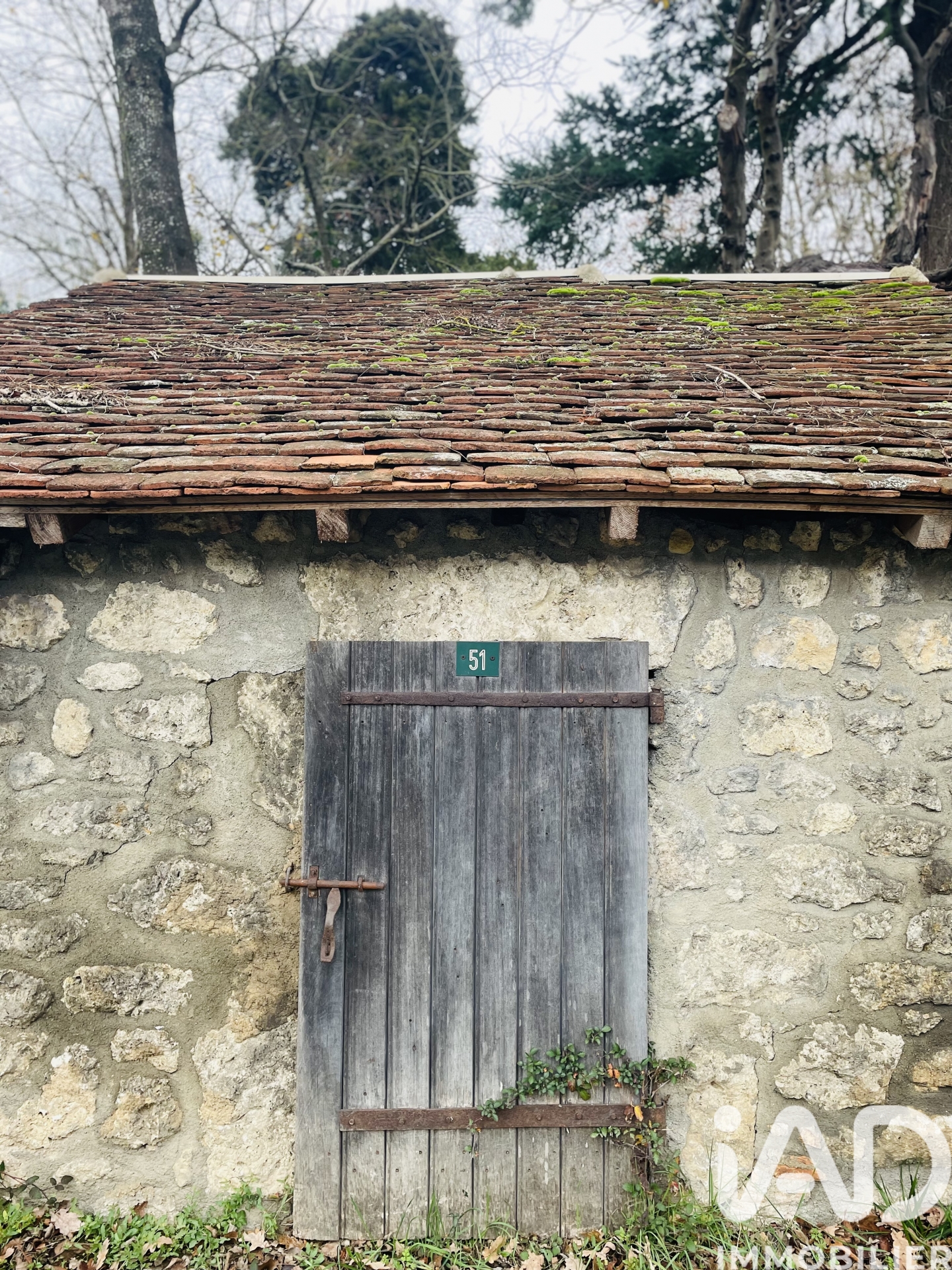 Vente maison à Ciron (36300) : maison de village 4 pièces 81 m² — 22