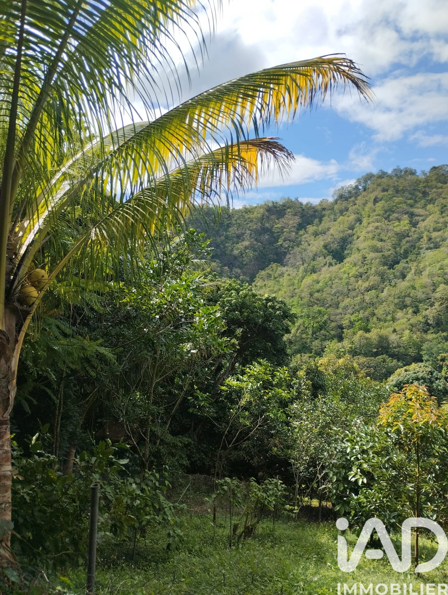 Vente Terrain à bâtir 1 100 m²