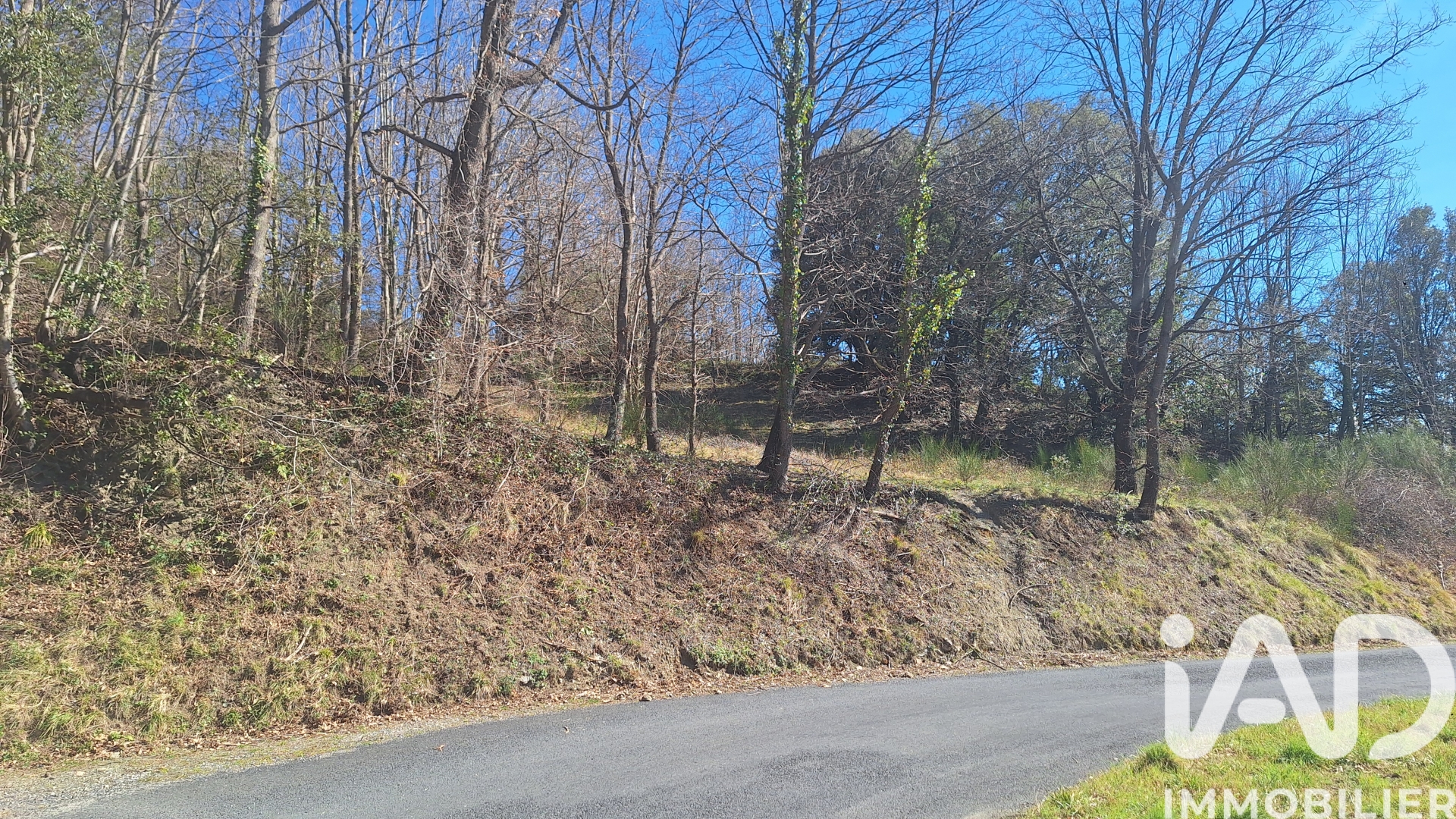 Vente Terrain agricole 24 000 m²