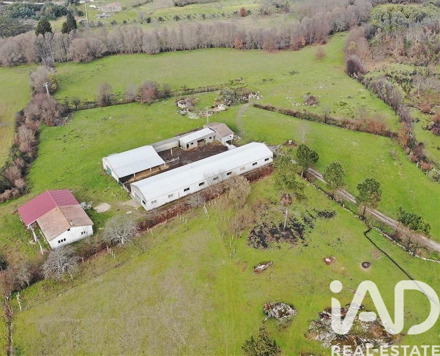 Farmhouse em Quintela de Azurara
