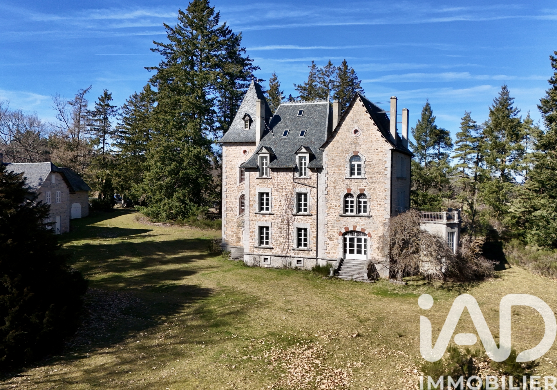 Vente Château 21 pièces