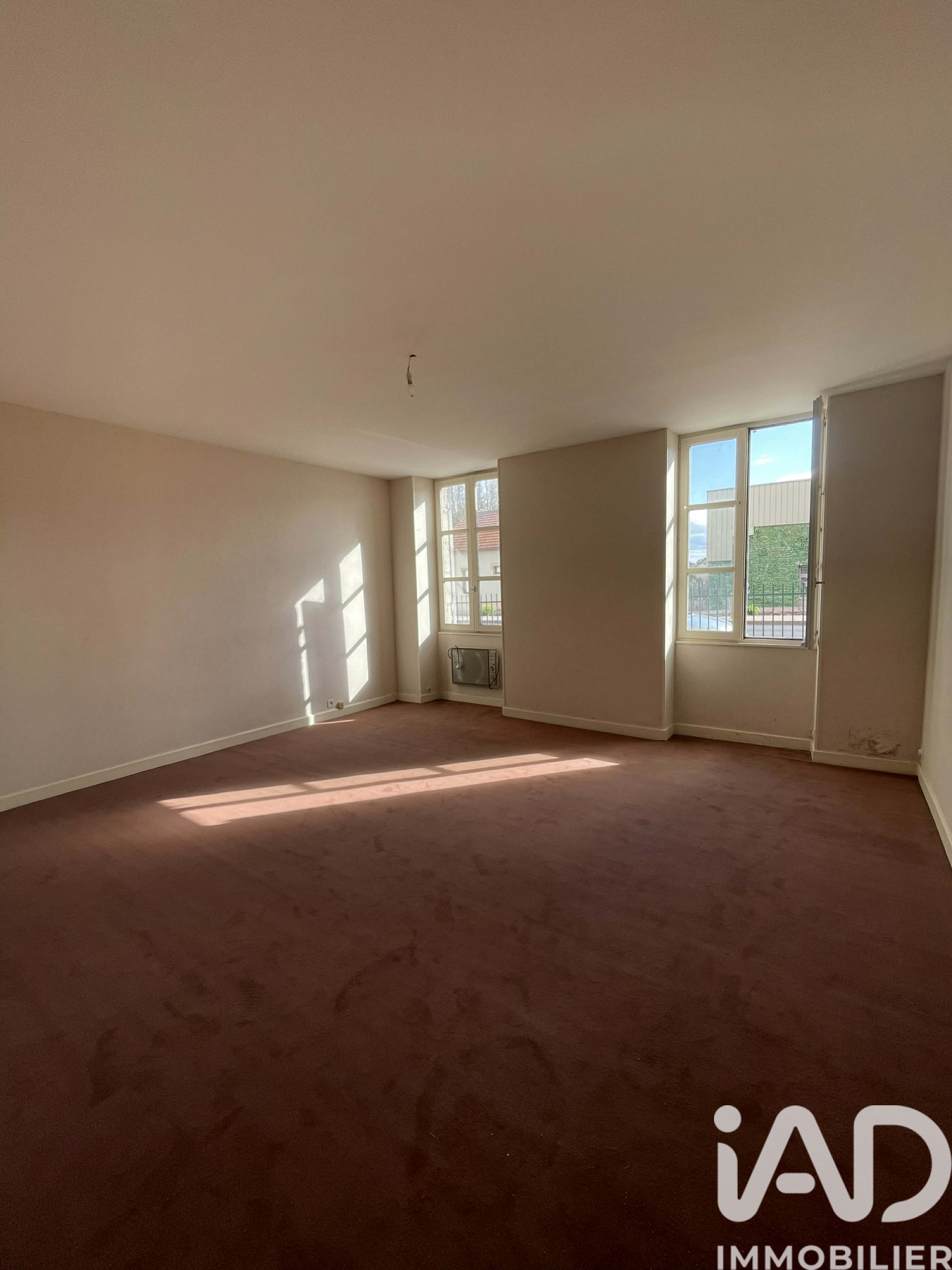 Vente maison à Lapalisse (03120) : maison 10 pièces 182 m² — 6