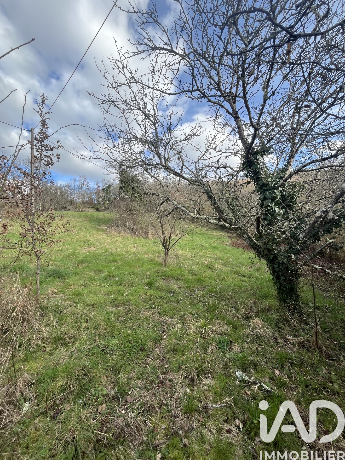 Vente maison à Laval — 17