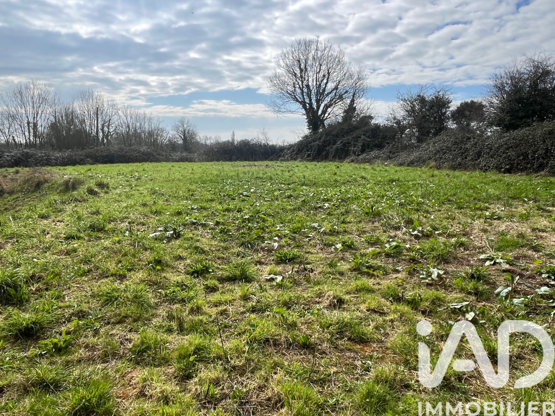 Vente maison à La Feuillie (50190) : maison de campagne 2 pièces 100 m² — 14